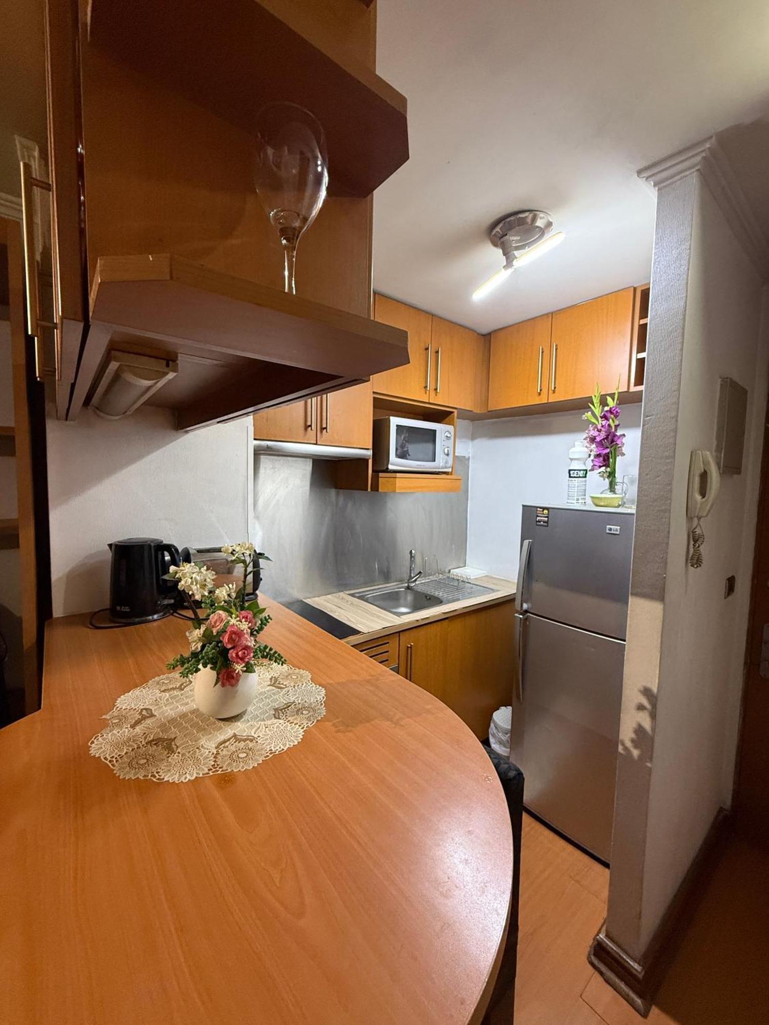 Luxury Providencia Santiago del Cile